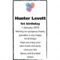 HUNTER LEVETT